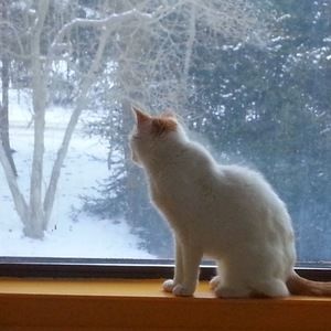 Meet your Posher, Linda